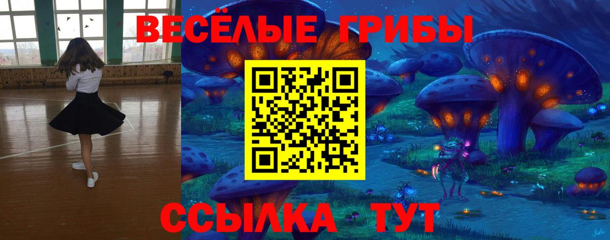 Галлюциногенные грибы Cubensis  Галлюциногенные грибы Cubensis  Вход с VPN  Орёл 